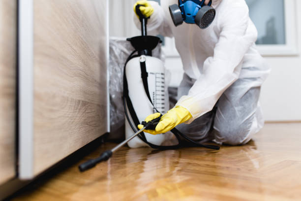 Pest Prevention Services in Belvedere Park, GA