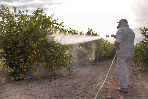 Best Best Pest Control Companies  in Belvedere Park, GA