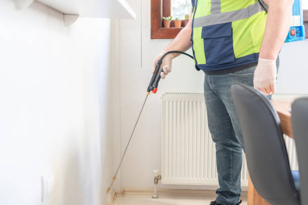 Flea Control Services in Belvedere Park, GA