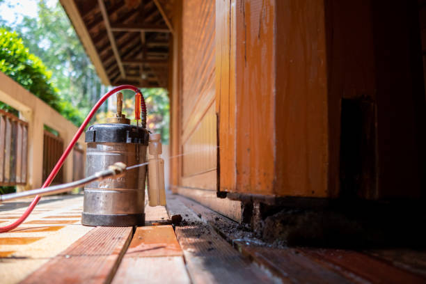 Best Exterminator Services  in Belvedere Park, GA