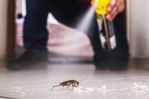 Best Commercial Pest Control Services  in Belvedere Park, GA