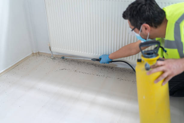Professional Pest Control in Belvedere Park, GA