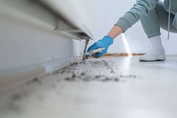  Belvedere Park, GA Pest Control Pros